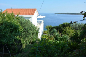 Apartments by the sea Milna, Vis - 8944